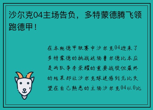 沙尔克04主场告负，多特蒙德腾飞领跑德甲！