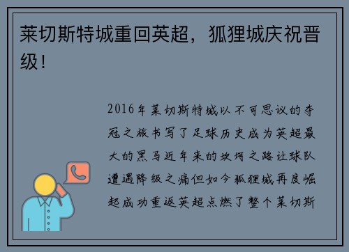 莱切斯特城重回英超，狐狸城庆祝晋级！